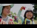 森の記憶 森のようちえんてくてく10周年記念映像 森の記憶 森のようちえんてくてく10周年記念映像