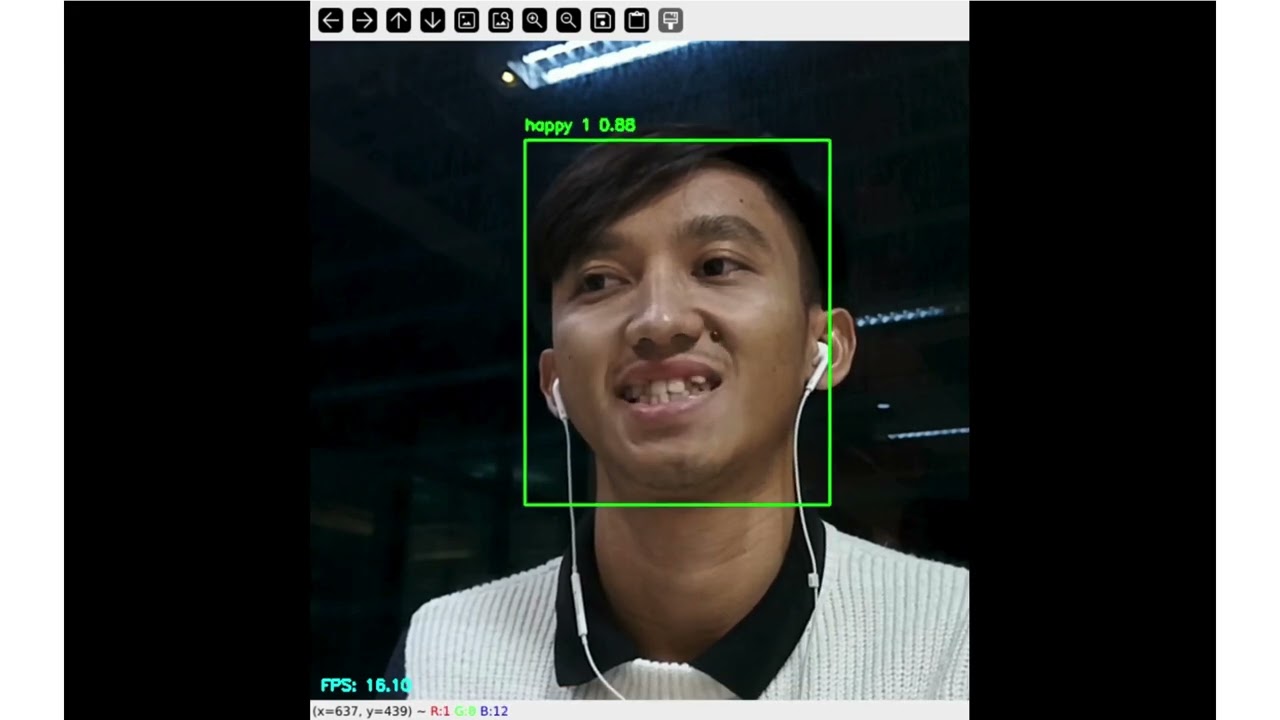 YOLOFeel: Transfer Learning for Real-Time Emotion Recognition in Social Robots