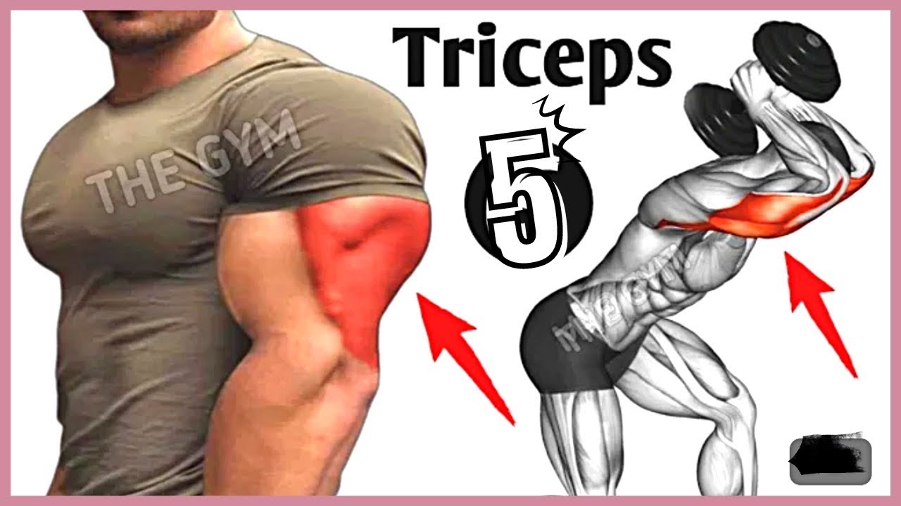 5 Best Exercise To get big triceps workout - YouTube