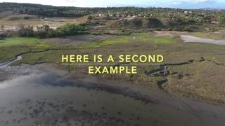 Phantom 4 Camera  Auto Brightness Issues