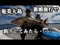 まさかの大物登場！新婚旅行で奇跡の一匹