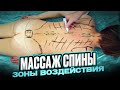 Анатомические ориентиры, направление массажных движений и важные места воздействия при массаже спины