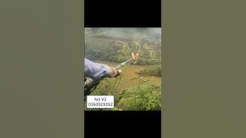 Ná cao su bắn cá V2 cự ly 25m