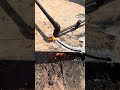 Easy plate cutting 😱😟