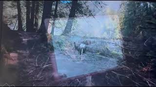 The Importance Of Spending Time In Nature