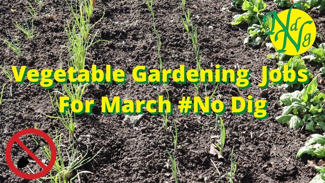 Vegetable Gardening Jobs For March 