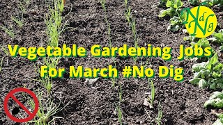 Vegetable Gardening Jobs For March #No Dig