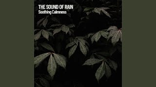 Wet Weather Day screenshot 5