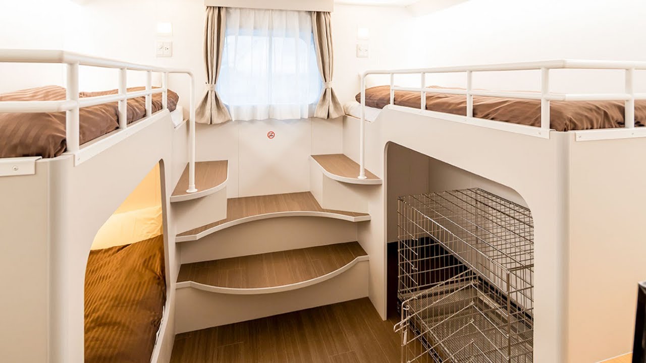 40-часовая поездка на пароме за 40 000 иен. Провести самое длинное путешествие в Японии с сиба-ину.