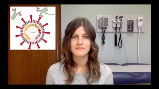 Coronavirus Vaccine Update - Dec 14, 2020