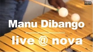 Manu Dibango • Live @ Nova