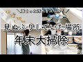 【年末大掃除】寝室カーテン・窓掃除・ベッドの下・照明・テレビの裏・電子レンジの下・食器棚全体をキレイに！【30代主婦】
