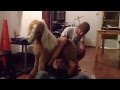 Fucking pony