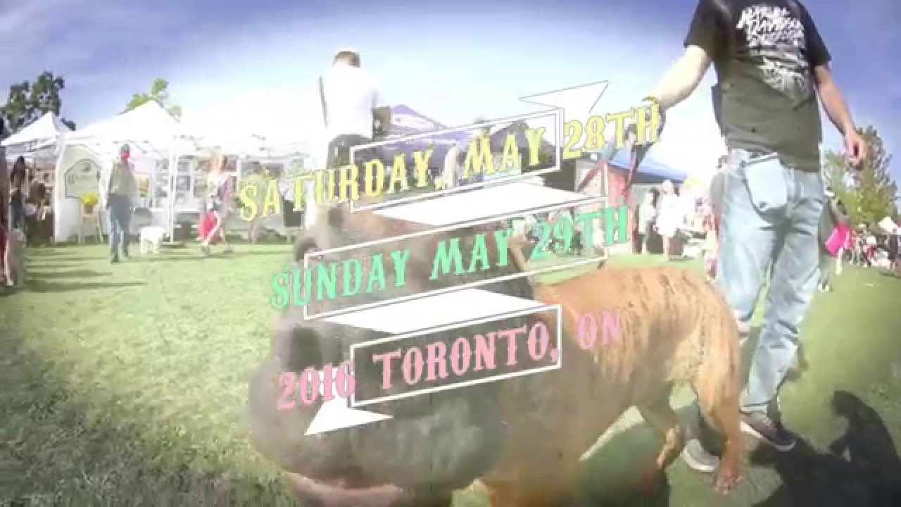 Woofstock Festival 2016