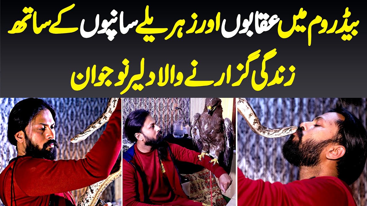 Bedroom Me Eagle An Snakes Ke Sath Zindagi Guzarne Wala Bahadur Naujawan Babar Nagi