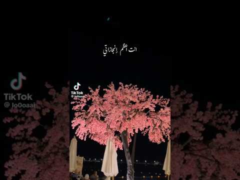 انت اعظم انجازاتي لايك تيك توك اشتراك ترند