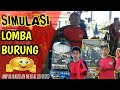 Simulasi Lomba Burung Ampuh Naikkan Mental Lovebird Mengajari Suasana Lapangan Pada Burung Mp3 - Mp4 Download