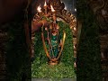 murugaa 🙏❤️ #baranideepam #tiruvannamalai #tiruchendur #devotionalhits #murugan #muruganthunai #god