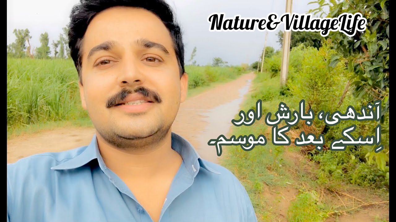 Pleasant Weather After Rain In Village 