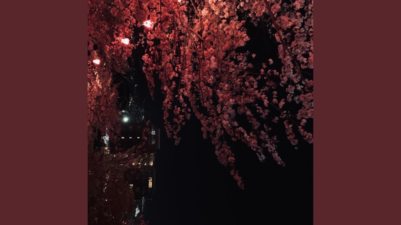 CANT LOSE FOCUS (feat. zvch)