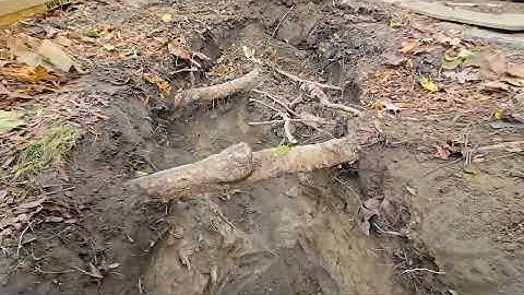 2 Wells Hill Ave. - X Dig Report