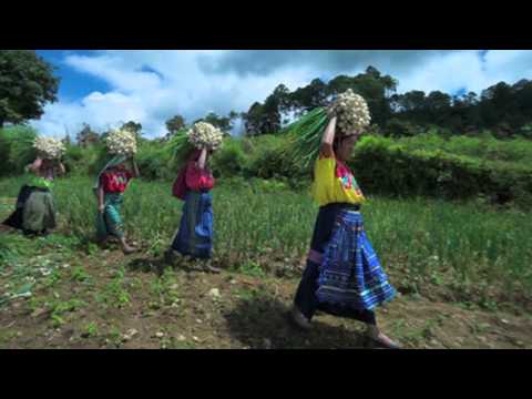 Rural Poverty - In Their Own Words: Guatemala