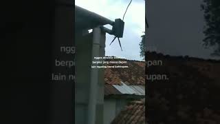 Story Wa Terbaru2022 Lagu Jamilah Pusing Pusing Goyang Engkolviralterbarushort storykekinian