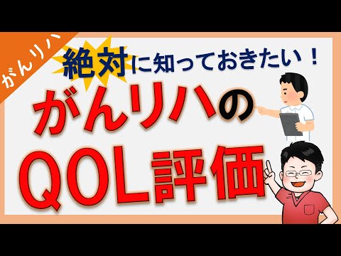 馬のQOL（生活の質）とは？愛馬の幸福度を測る7つのポイントと最期のケア