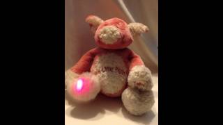 IMG 37961