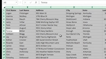 Excel 2013 Tutorial 17: Remove Duplicate Entries