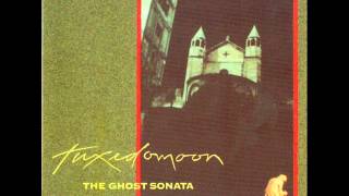 Tuxedomoon - A Mystic Death