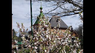 04.06.2024.Вторник.Полиелей.Отдание праздника Преполовения Пятидесятницы.