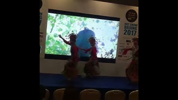 DRT show 2017 beijing