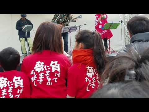 #ダイナミック琉球 #韓流フェスタ2018