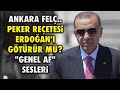 ANKARA FELÇ; PEKER REÇETESİ ERDOĞAN'I GÖTÜRÜR MÜ? SARAY'A YAKIN PROFESÖR "GENEL AF" DEDİ.