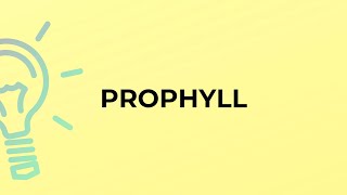What is the meaning of the word PROPHYLL