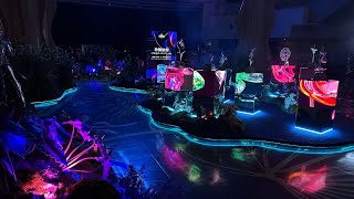 Tencent Video Starry Forest—The Forest Dream