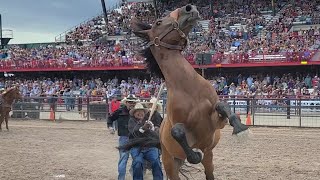 Wild Horse Race Cheyenne Frontier Days 2022