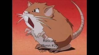 Rattata, Raticate YT Pokedex