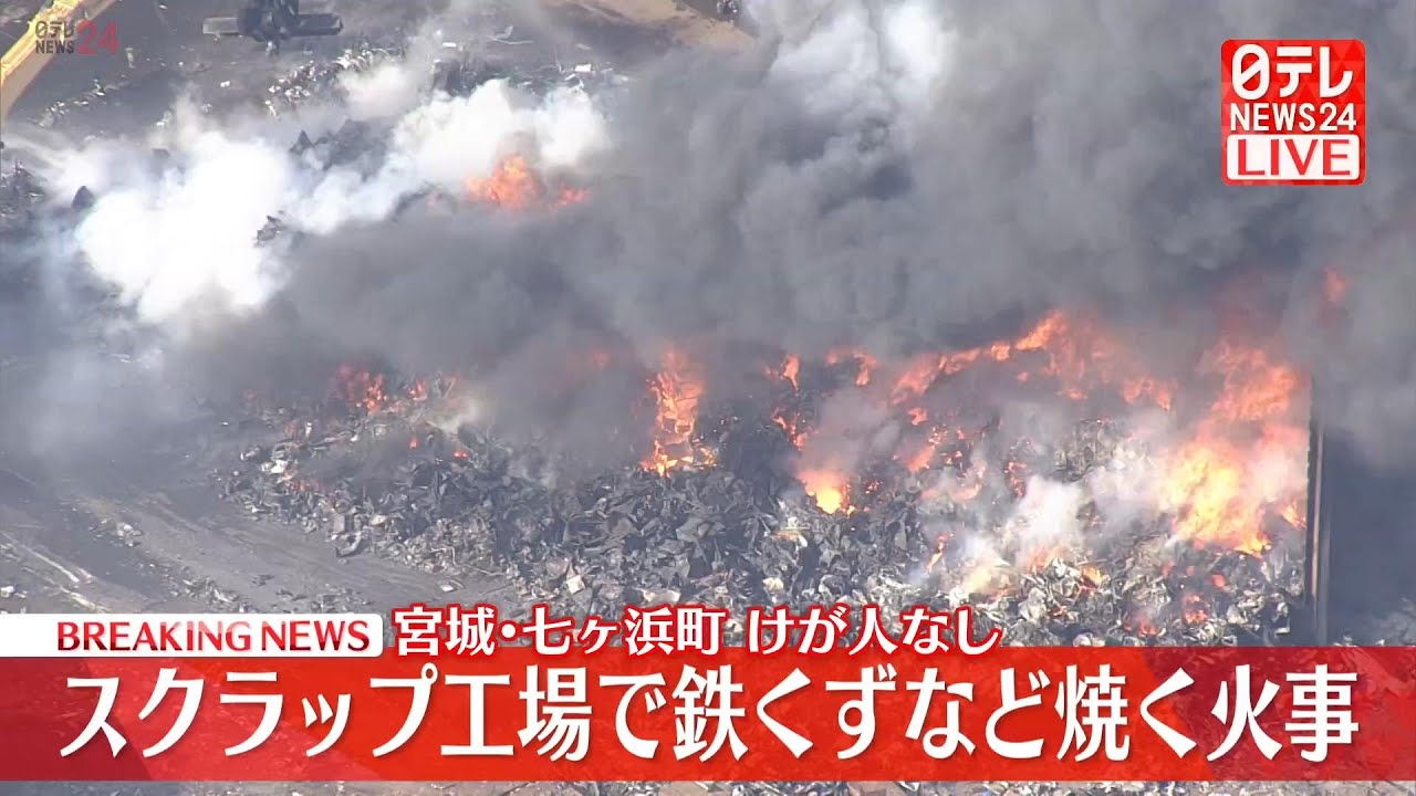 生のものと火を通したもの 生のものと火を通したもの | みすず書房