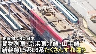 ちょっと 列車ウォッチ - 東北本線 宇都宮線 ヒガハス -《 JR貨物 EF210形 桃太郎 コキ 》 210-122 / E231