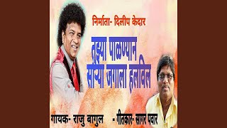 Tujhya Palanyan Sarya Jagala Halvil