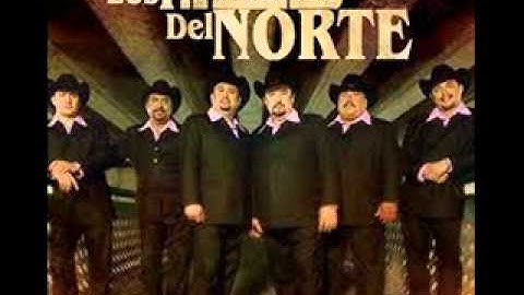 LOS TRAILEROS DEL NORTE  LA BONGA