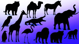 Juego de sombras animales zoológico-Adivina y aprende nombres de animales para niños- screenshot 4
