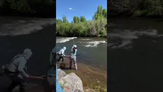 Conejos River Fly Fishing! Texas Woman catches estimated 31 inch rainbow trout in over 4 min. battle