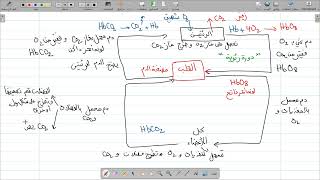 الجزء 03 من المراجعة الشاملة للتغذية عند الإنسان رابعة متوسط