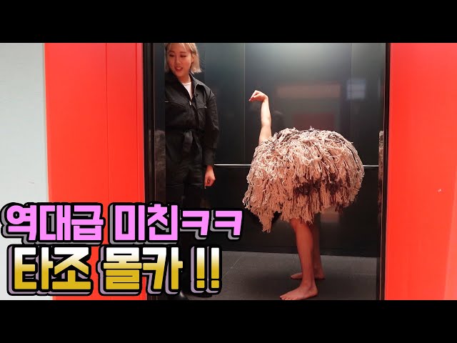 SUB)역대급! 타조깜짝카메라! 회사에 갑자기 야생타조가 나타난다면?!(feat.도티) crazy prank! a wild ostrich appears in the company? class=