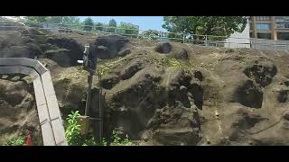 [再遇五哥] 東鐵綫 MLR (E5/E59)(614)旺角東至紅磡終點站