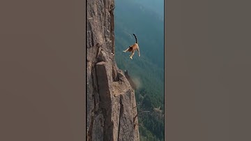 Life Leopard🙏Goat Ep723 #shortsvideo #goat #leopardadventure #viralvideo #leopard #goatclimbing 🦾🐾