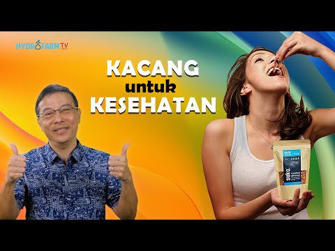 Kalori Kacang Mete